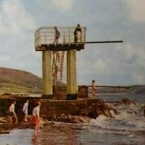 Meet your Posher, Larry